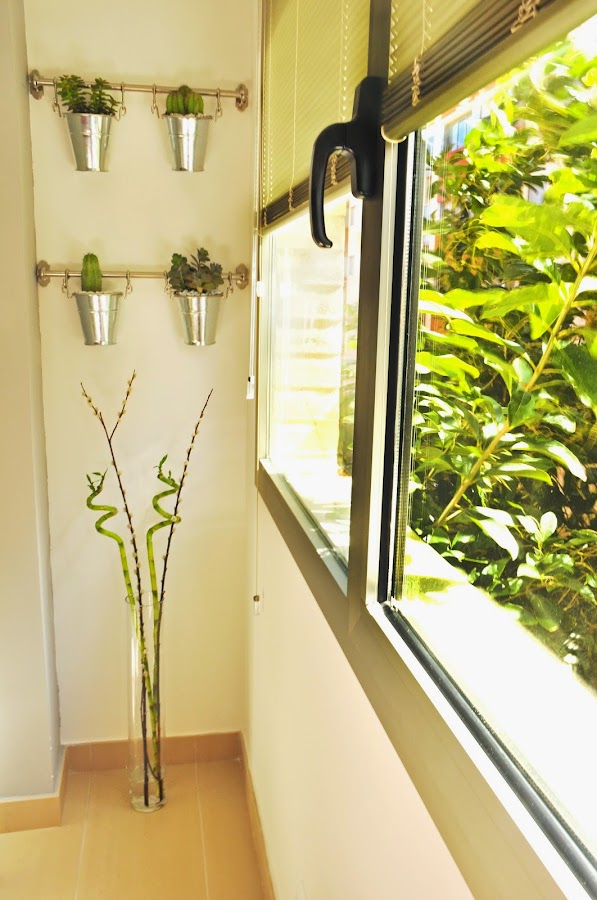 ¡Cómo hacer un jardín vertical en el interior de un piso! | Decoración