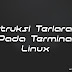 Instruksi Terlarang Pada Terminal Linux Yang Dapat Anda Coba