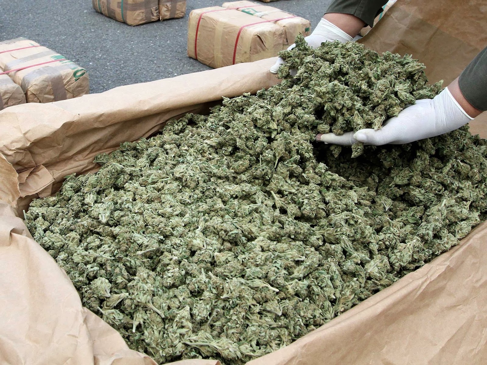 feds-crack-down-on-hundreds-of-medical-marijuana-shops-in-california.jpg