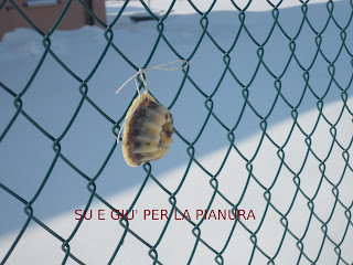 Gancio decorativo per mangiatoia per uccelli, supporto piante