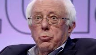 Bernie Sanders reacts to Biden lead in 2020 poll