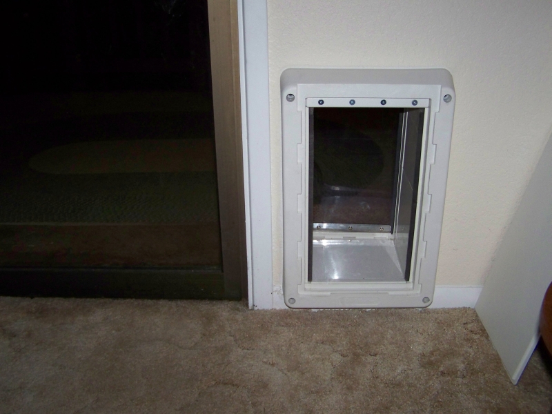 homemade dog door | Proven Dog Training