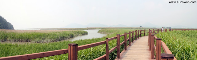 Pasarelas de madera en la Bahía Suncheonman