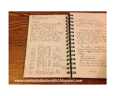 Handwritten journal entry including a sketched map