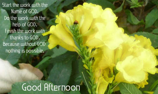 Good Afternoon Wallpapers 2017 Good Afternoon Wallpapers 2017
