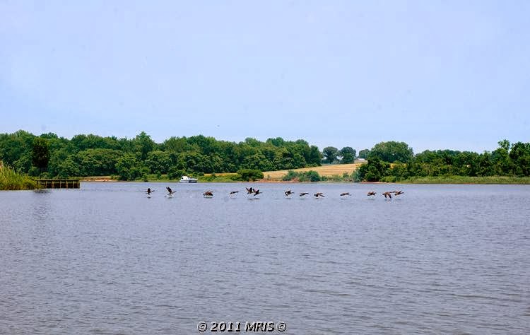 Bohemia River