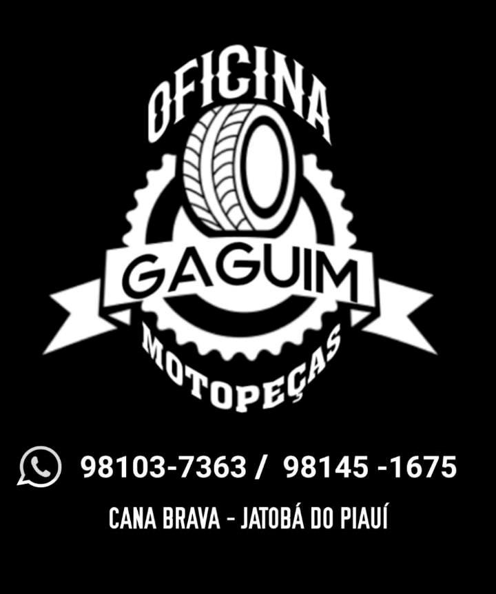 OFICINA DO GAGUIM