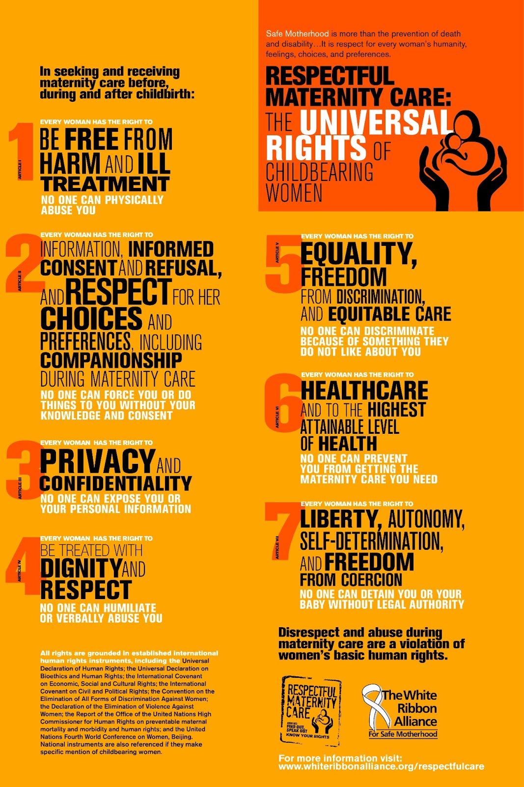 Anthro Doula: Universal Rights of Childbearing Women