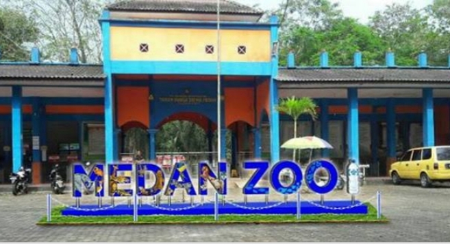 Guna Menarik Pengunjung Medan Zoo Terus Di Benahi Media Apa Kabar