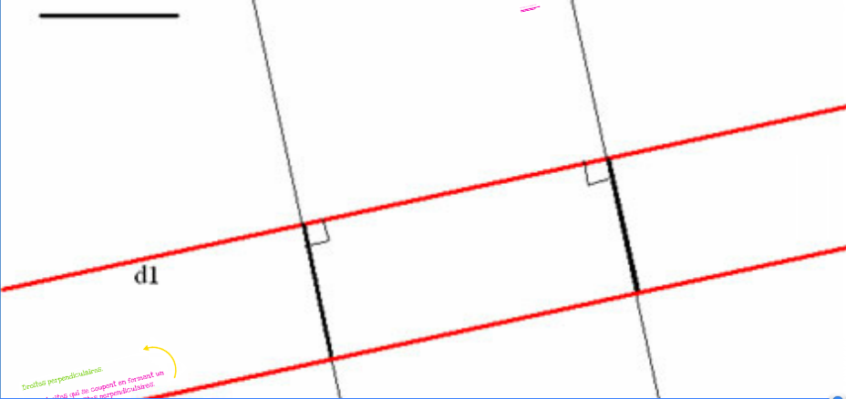 Evaluation Cm2 Droites Parallèles Et Perpendiculaires