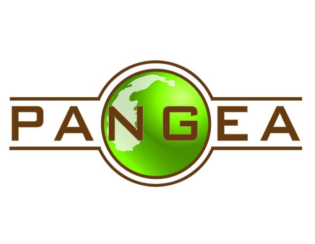 PANGEA MEDIA