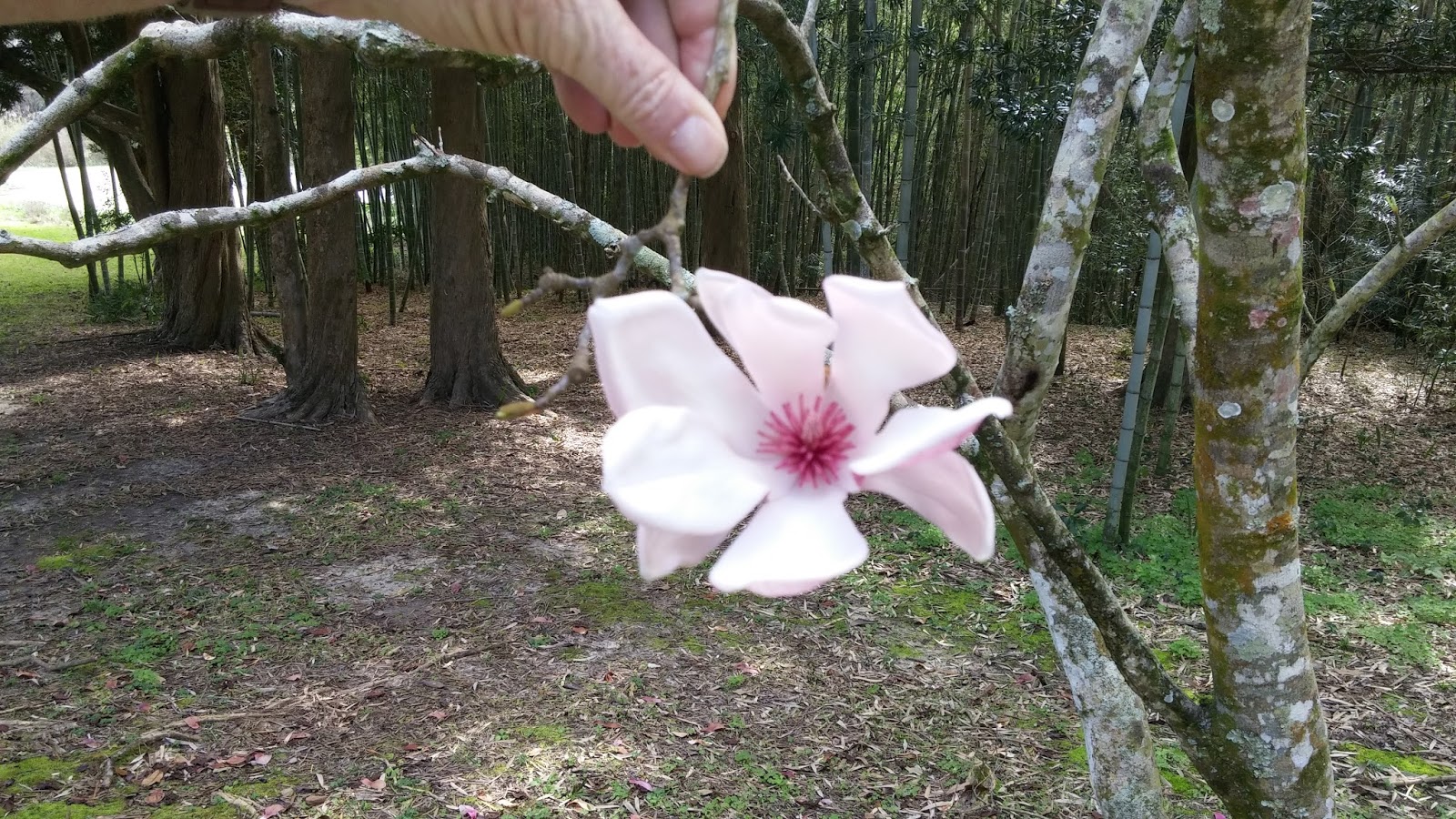 Where in the USA RV? Betty's RV Park, Abbeville, Louisiana