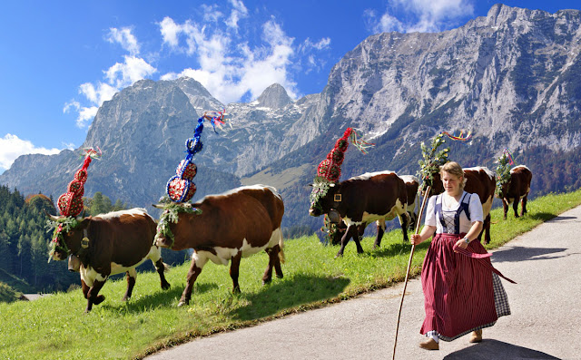 Die 13 Besten Bilder Zu Skiwelt Wilder Kaiser Brixental In 2020
