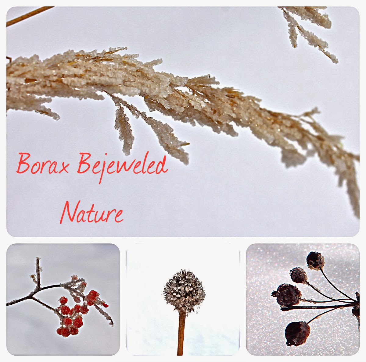 Twig and Toadstool Borax Bejeweled Bits Of Nature image