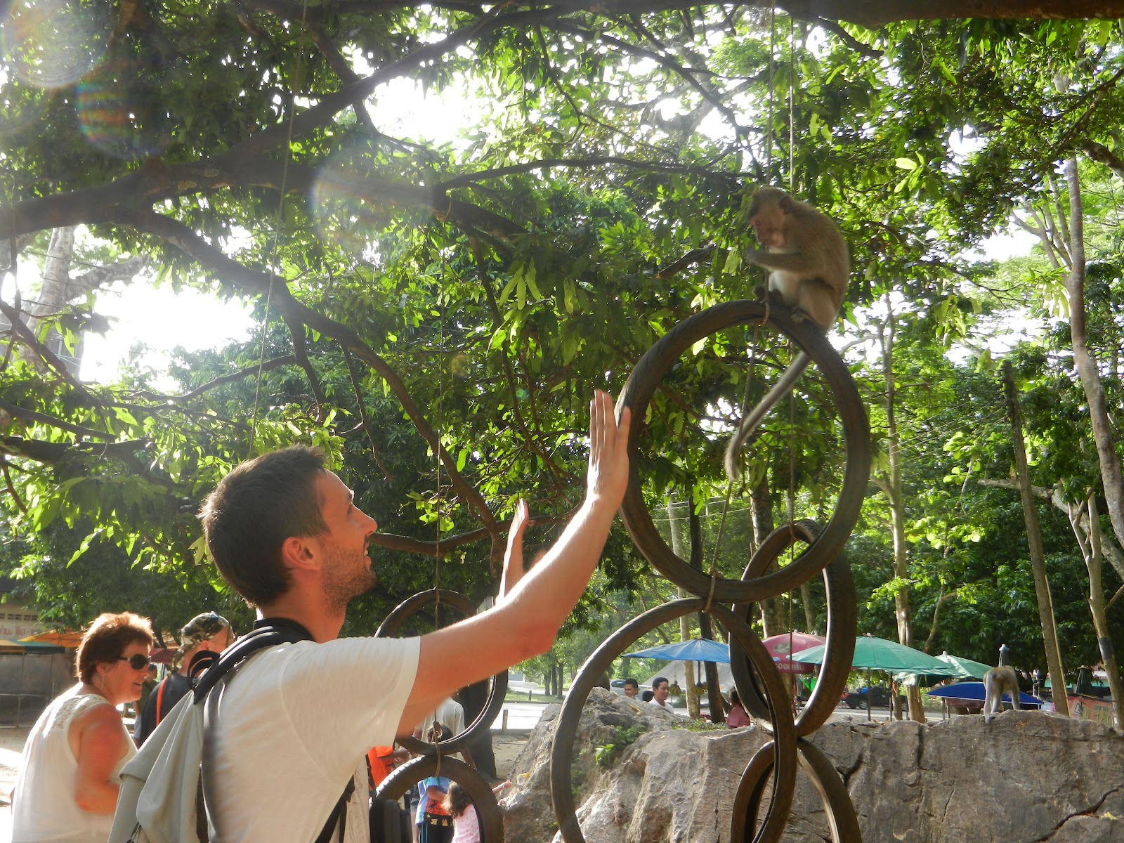 Kısa Kahve Molası Phuket Maymun Adasından Görüntüler&hellip;