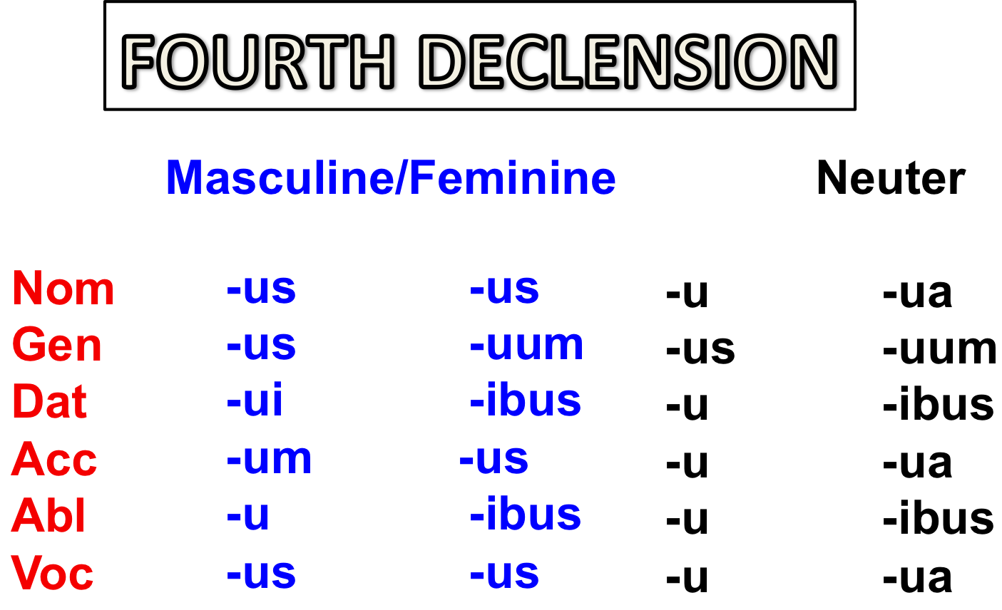 Fourth Declension Latin Nouns 21