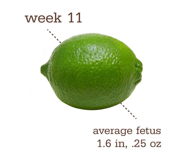 Беременность фрукты размер. Лайм размер. Лайм размер плода. 11 Недель размер плода фрукт.