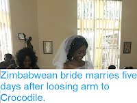 https://sciencythoughts.blogspot.com/2018/05/zimbabwean-bride-marries-five-days.html