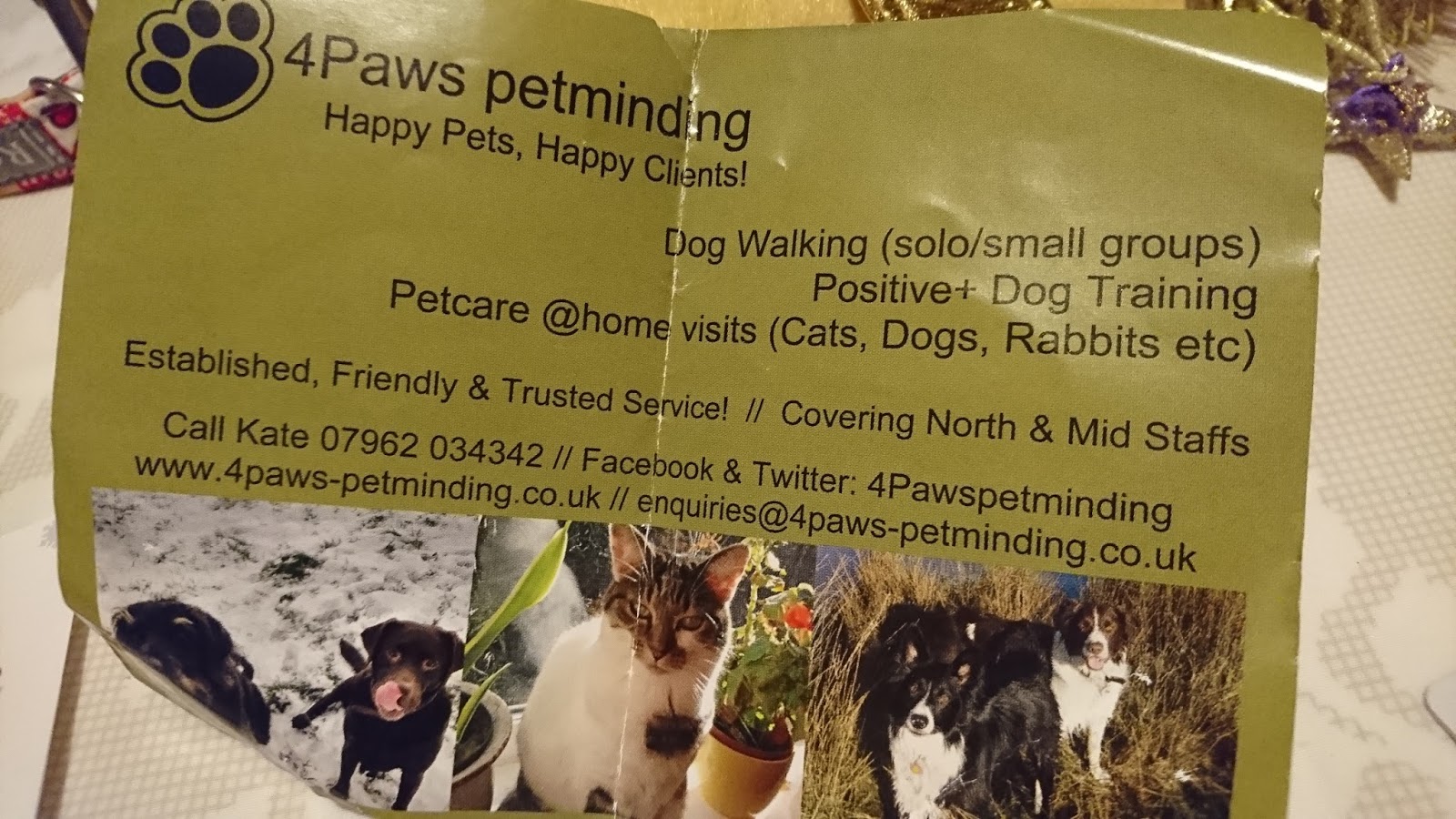 Christmas Pet Parade NewcastleunderLyme Staffordshire Paws