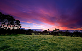 High Resolution Nature Wallpaper 