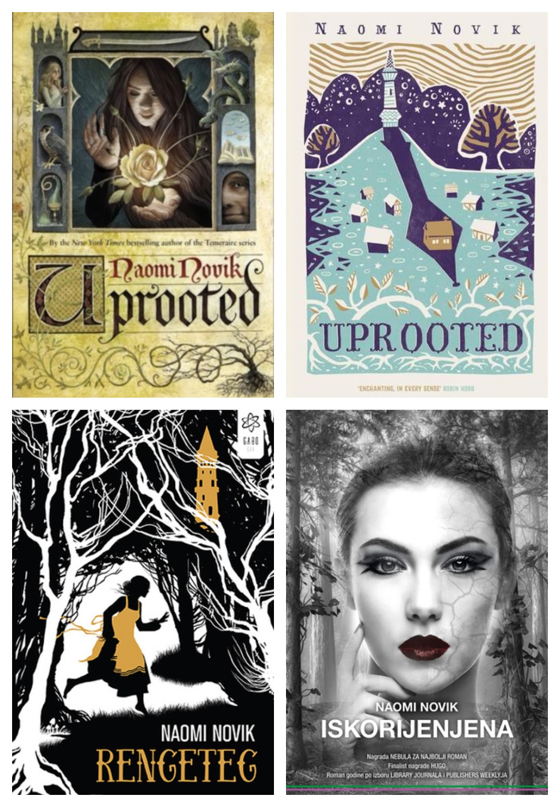 Reseña corta Un cuento oscuro de Naomi Novik Perdida entre páginas