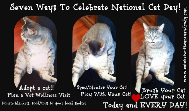 Image result for happy national cat day