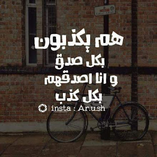 95efe0d5b0db8522a913a1f730e05595