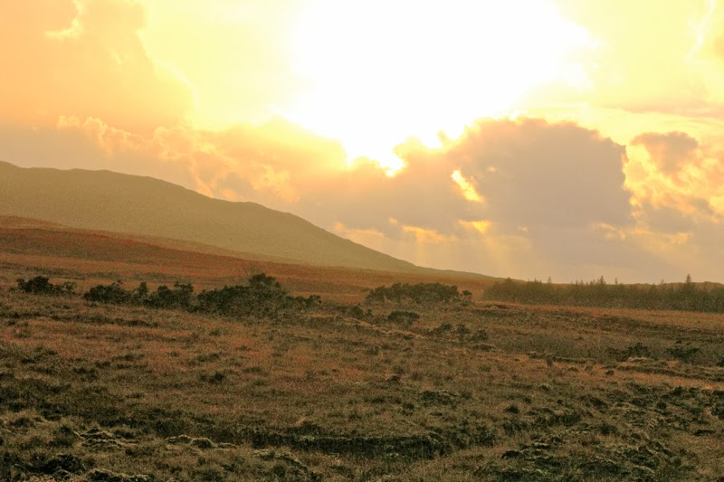 BLOG MODE HOMME PREPPY CONSEIL STYLE PARIS ELEGANCE TENDANCE