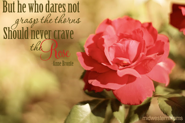 Happy Rose Day With Quotes 2016 Happy Rose Day With Quotes 2016