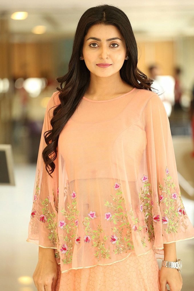 Avantika Mishra In Pink Dress At Vaisakham Telugu Movie Press Meet