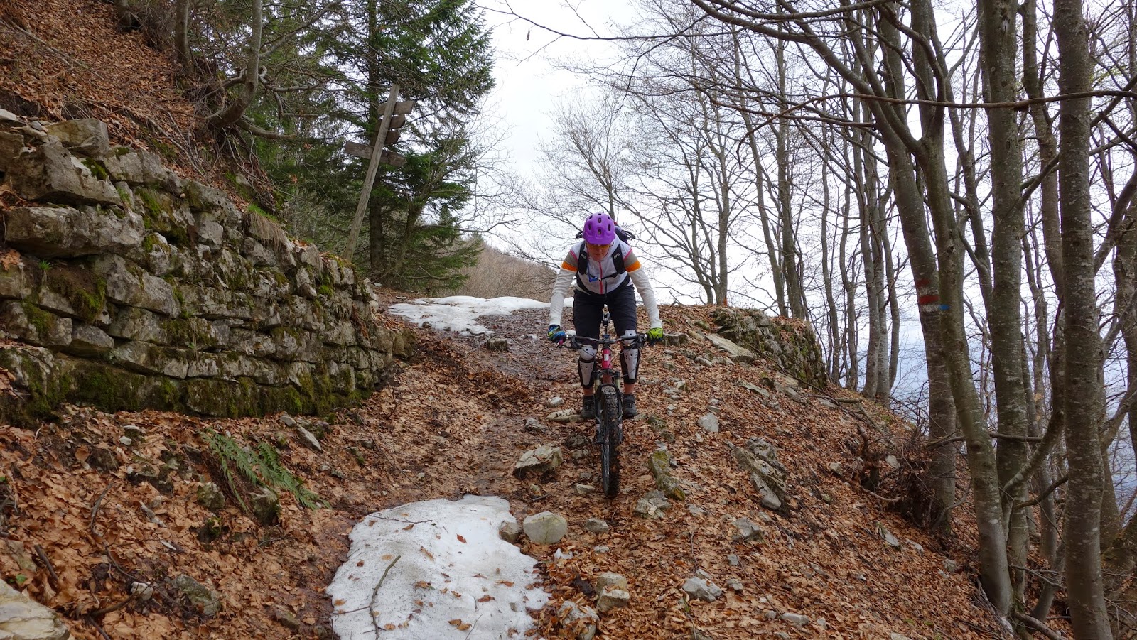 Der Offizielle Blog Von Google Deutschland Digital News