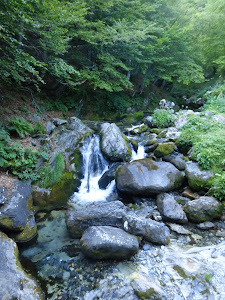 Le Béarn - Blogs de Francia - Col d'Aubisque (Gourette) (7)