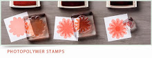 Photopolymer Stamp Sets