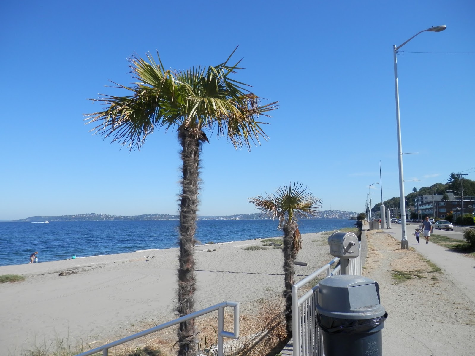 Amanda from Seattle National Parks were FREE this weekend!!