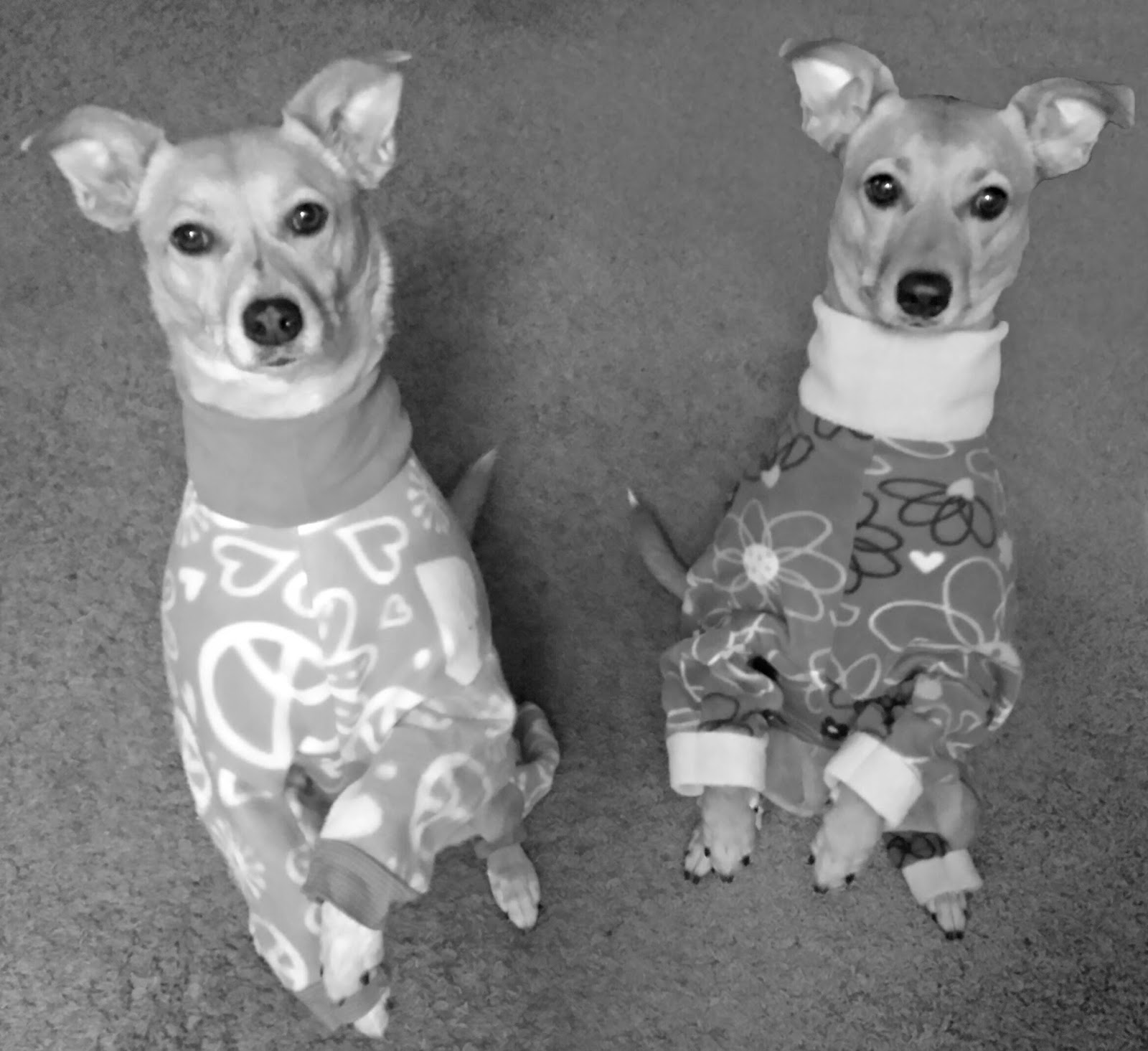 ZoePhee Pajama Weather!