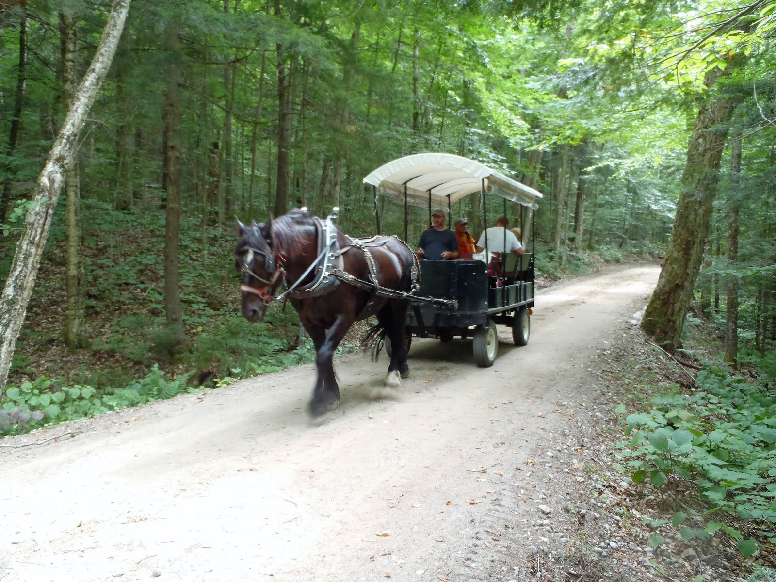 LAKE & CAMP SANTANONI, Adirondack Park, skiing, hiking, camping