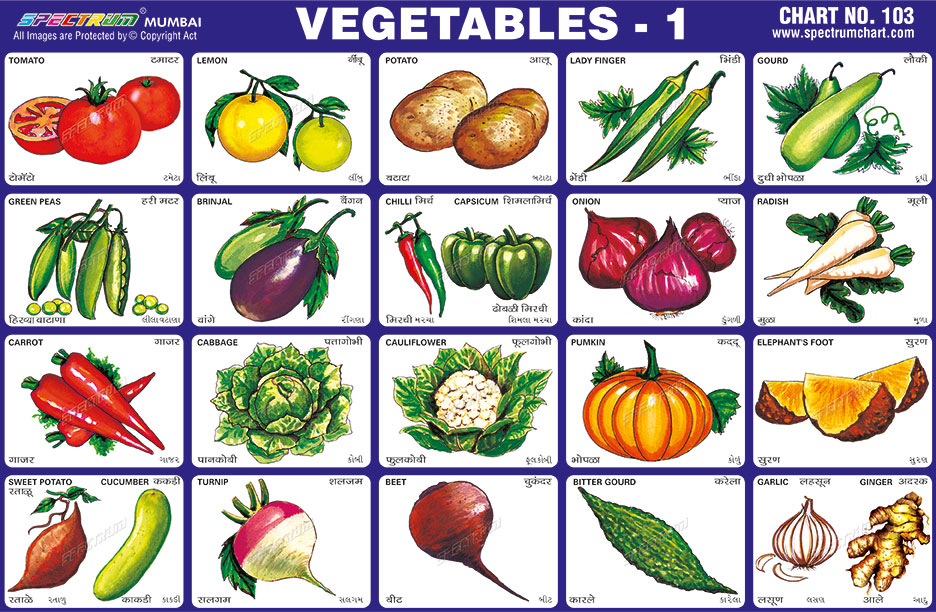 Spectrum Educational Charts: Chart 103 - Vegetables 1