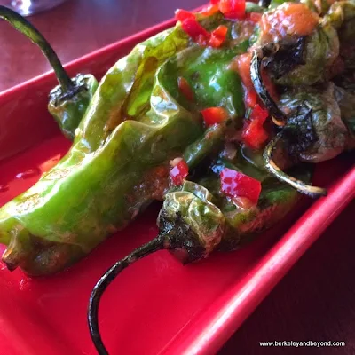 Shishito Peppers at Bobo's Lounge in San Francisco