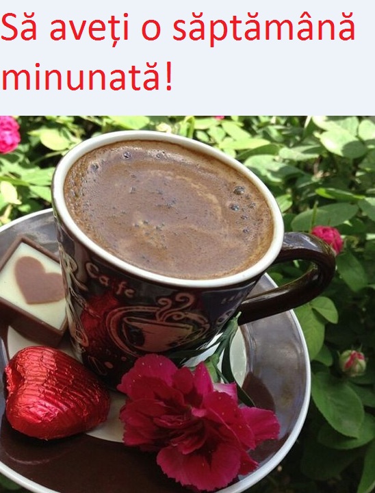 Blogul 5 Din Palmaresul Vienelei O Saptamana Usoara Si Placuta