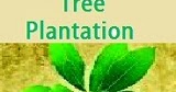 essay on tree plantation Introduction: without oxygen we cannot live for a moment even without oxygen, the animal world will die away trees make the oxygen and spreads it in the air. essay on tree plantation Introduction: without oxygen we cannot live for a moment even without oxygen, the animal world will die away trees make the oxygen and spreads it in the air.