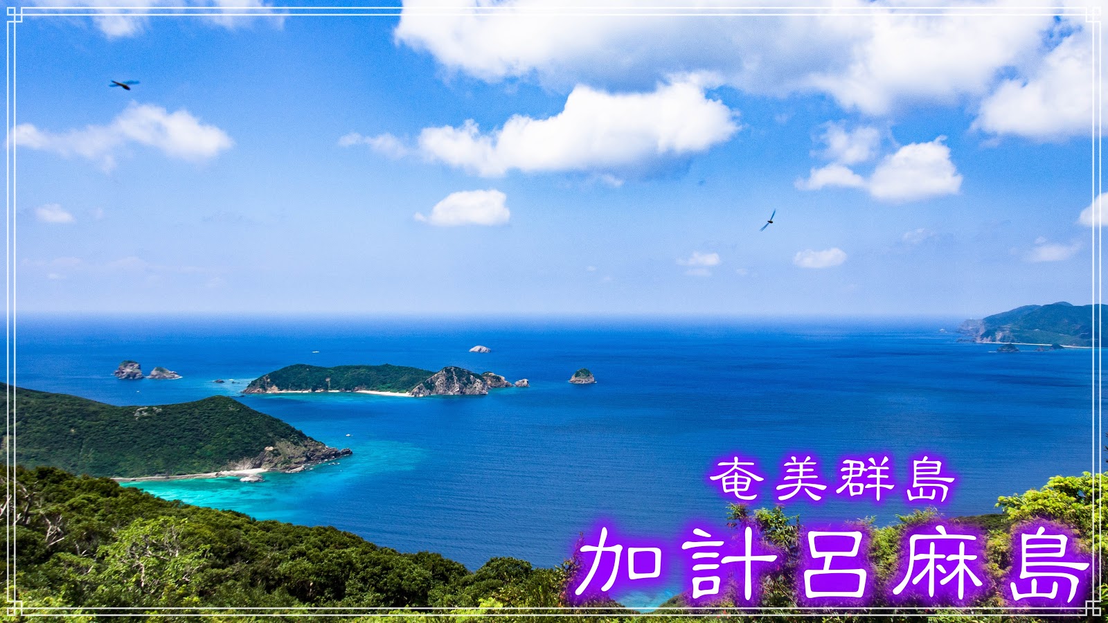 麻島 加計 呂