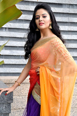 SriMukhi in Saree Photos