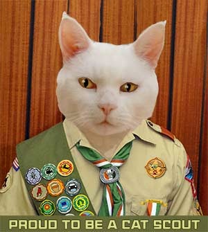 I'm a Cat Scout!