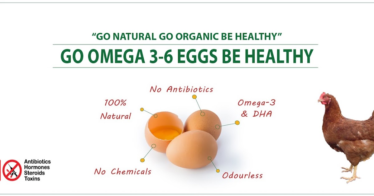 Omega 36 egg benefits