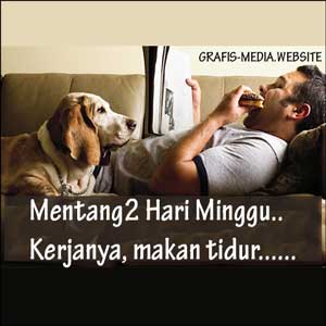 Gambar Dp BBM Hari Minggu Lucu,Unik, Menarik,Nasehat