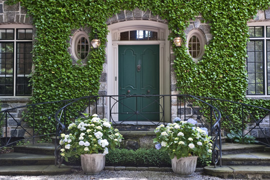 Southgate Residential: Ivy Covered Houses