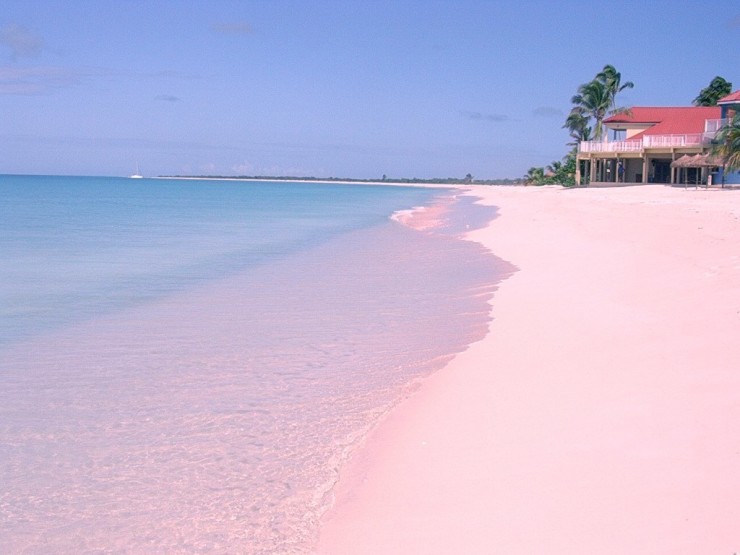 The Unique Pink Sands Beach in Harbour Island, the Bahamas