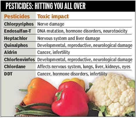 effects of insecticides and pesticides