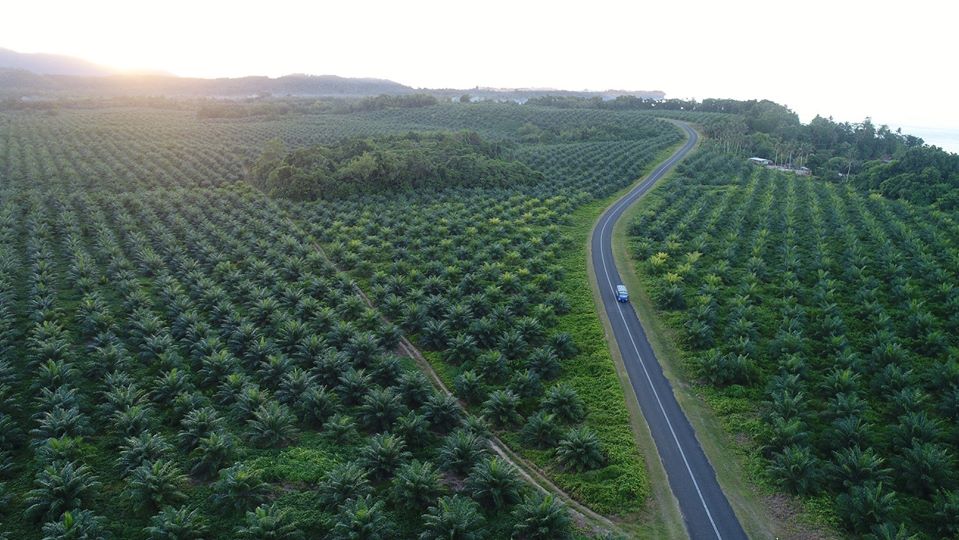 Better Roads and Markets PNG New Ireland Farmers Benefiting Papua New Guinea Today