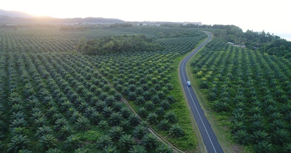 Better Roads and Markets : PNG New Ireland Farmers Benefiting - Papua